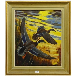 Sir Peter Markham Scott (British 1909-1989): Mallards Rising from Reeds at Sunrise, oil on canvas signed and dated 1961, 59cm x 49cm
Provenance: with Arthur Ackermann and Son Ltd, Old Bond St. London, label verso  

