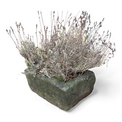 Two 19th century stone troughs with small stone planter