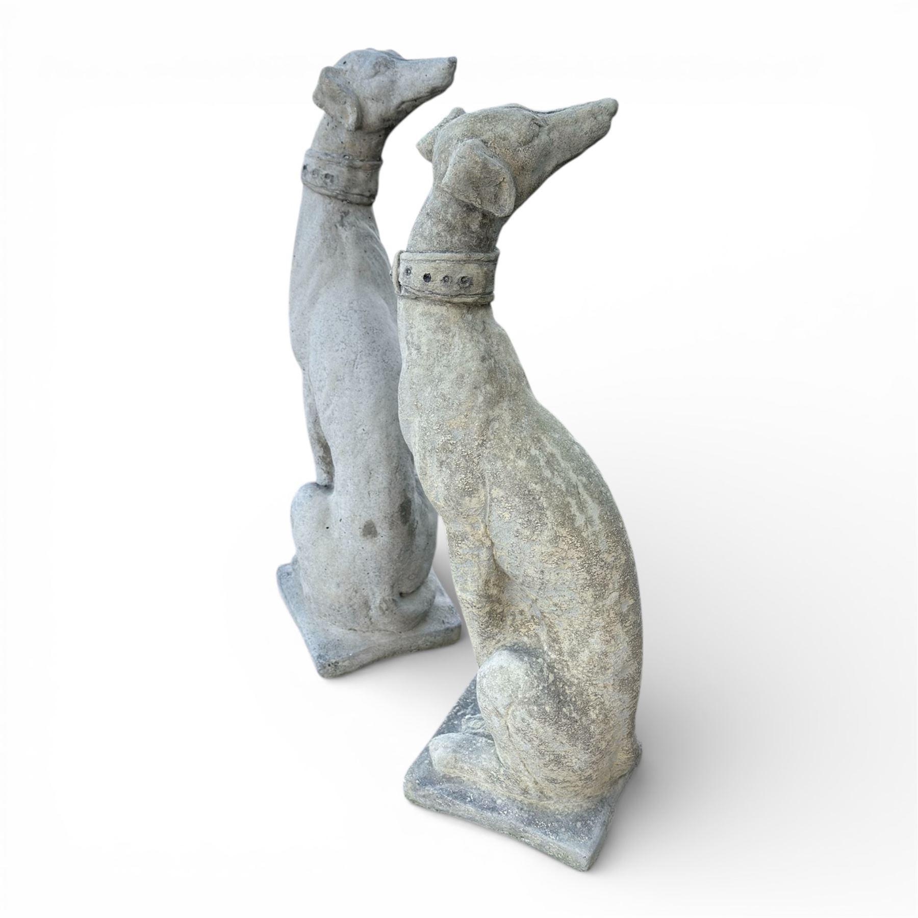 Pair of small cast stone  seated garden greyhounds, on square plinth bases