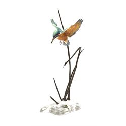 David Fryer Studios for Royal Worcester, a limited edition bronze and porcelain model of a kingfisher in flight, supported by bronze rushes, upon a clear base, signed D Fryer, and numbered 206/750, H48cm. 