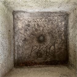 Pair of weathered cast stone square planters, daisy chain detail, one stamped