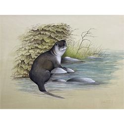 Eric Peake (British 1940-): 'Winter Otter' 'Summer Otter' and 'Autumn Otter', set three watercolours signed, titled and dated 1984-1985 verso 25cm x 33cm (3)