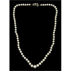 Mikimoto single strand graduating cultur