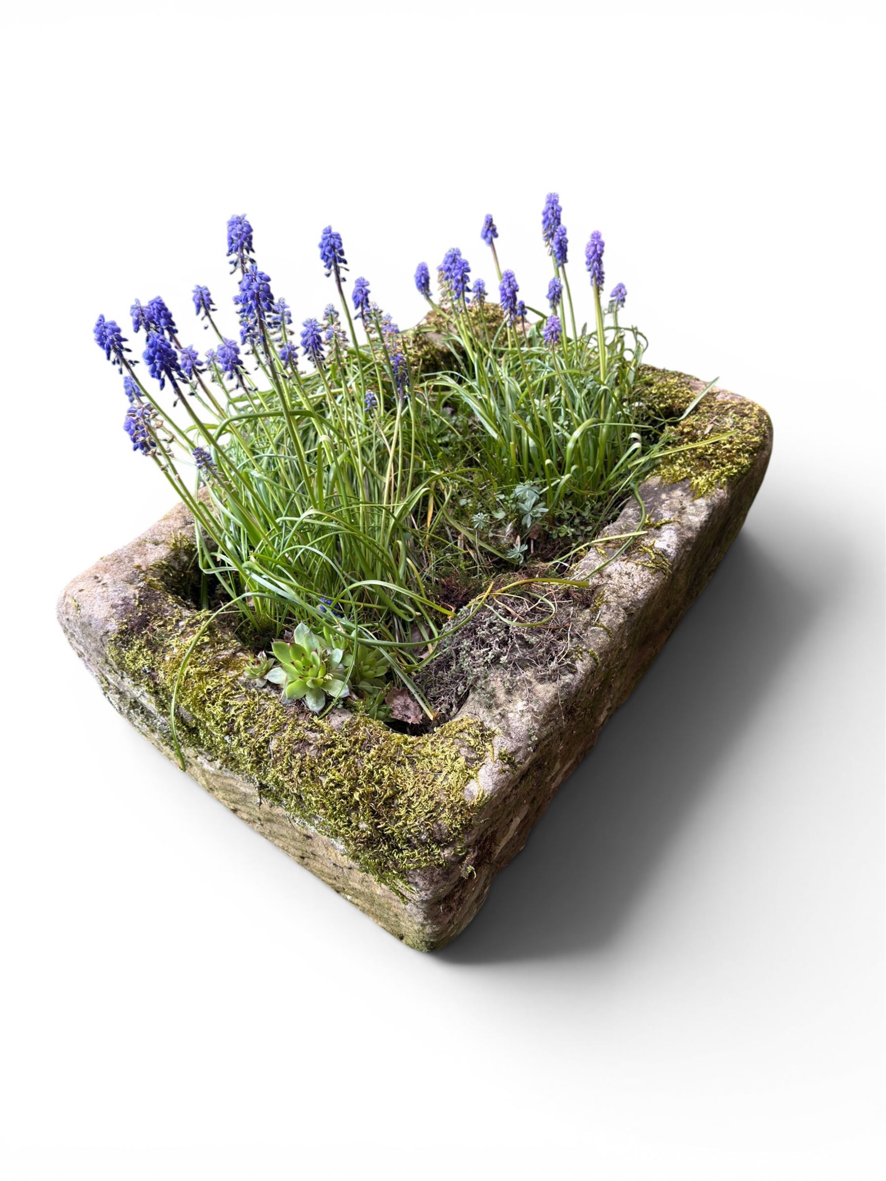 19th century weathered hewn stone planter of rectangular form, planted