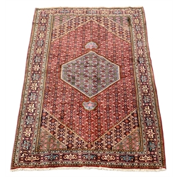 Persian Hamadan rug, lozenge red ground field decorated all over with stylised flower head motifs, pole medallion, repeating guarded border, 298cm x 194cm