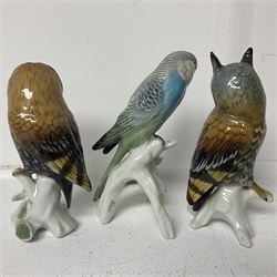 Seven Karl Ens bird figures, including barn owl, eagle owl, blue tit, budgerigar etc, all with mark beneath, tallest H17cm 