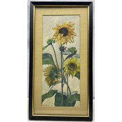 Adolf K (Continental 20th Century): Sunflowers, watercolour indistinctly signed 53cm x 22cm 