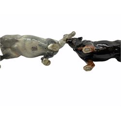 Beswick figures, comprising Afghan Hound 2285, St Bernard 'Corna Garth Stroller' 2221, Rottweiler 3056, Greatdane 'CH Ruler of Ouborough', Fox, Elephant, and dappled grey type horse. 