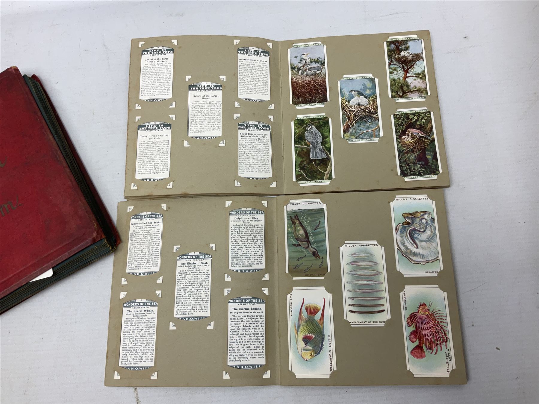 sampoerna family founder anxi fujian surabaya clove cigarette Sampoerna Prima sampoerna family founder anxi fujian surabaya clove cigarette Sampoerna Prima
