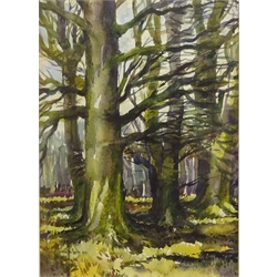  Woodland Scene, watercolour signed and dated '1967 by John Hiram Greensmith (1932-) 47cm x 33cm and 'North Cliff Scarborough', over painted photographic print 22cm x 39m (2)  