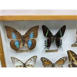 Entomology: Glazed entomology collector's drawer display of various butterflies and moths, thirty assorted specimens, each with attached data labels including Rainbow Tailed moth, Archduke butterfly, Blue-Banded King Crow butterfly, Dark Swordtail butterfly etc, and six other framed entomology specimens, largest H28cm D4cm W26cm 
