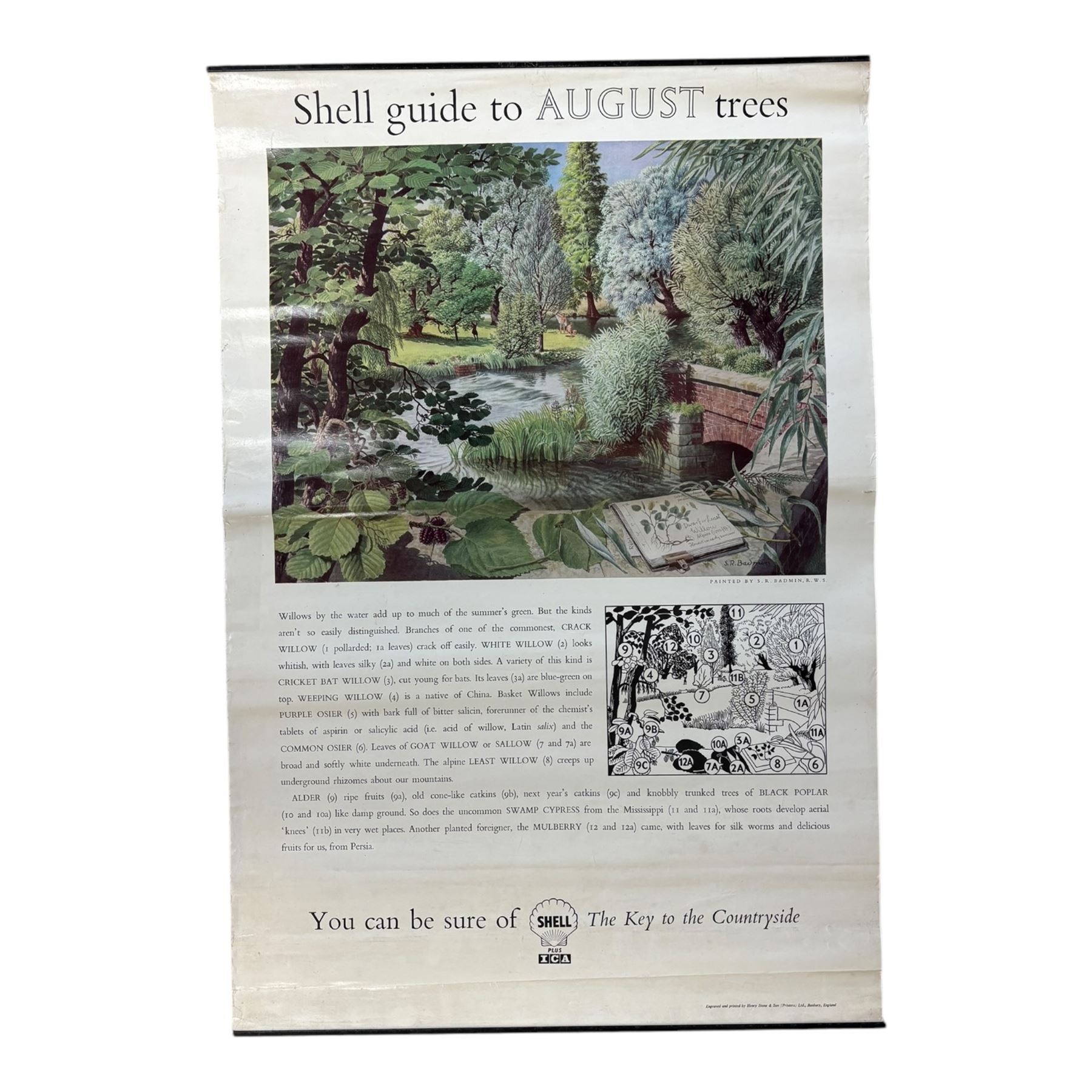 Collection thirty seven vintage county guide posters produced by Shell, H76cm, W51cm