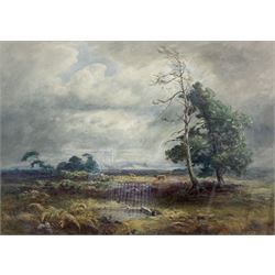 Frederick Dove Ogilvie (British 1850-1921): A Windswept Moor, watercolour signed with initials and dated 1909, 49cm x 70cm