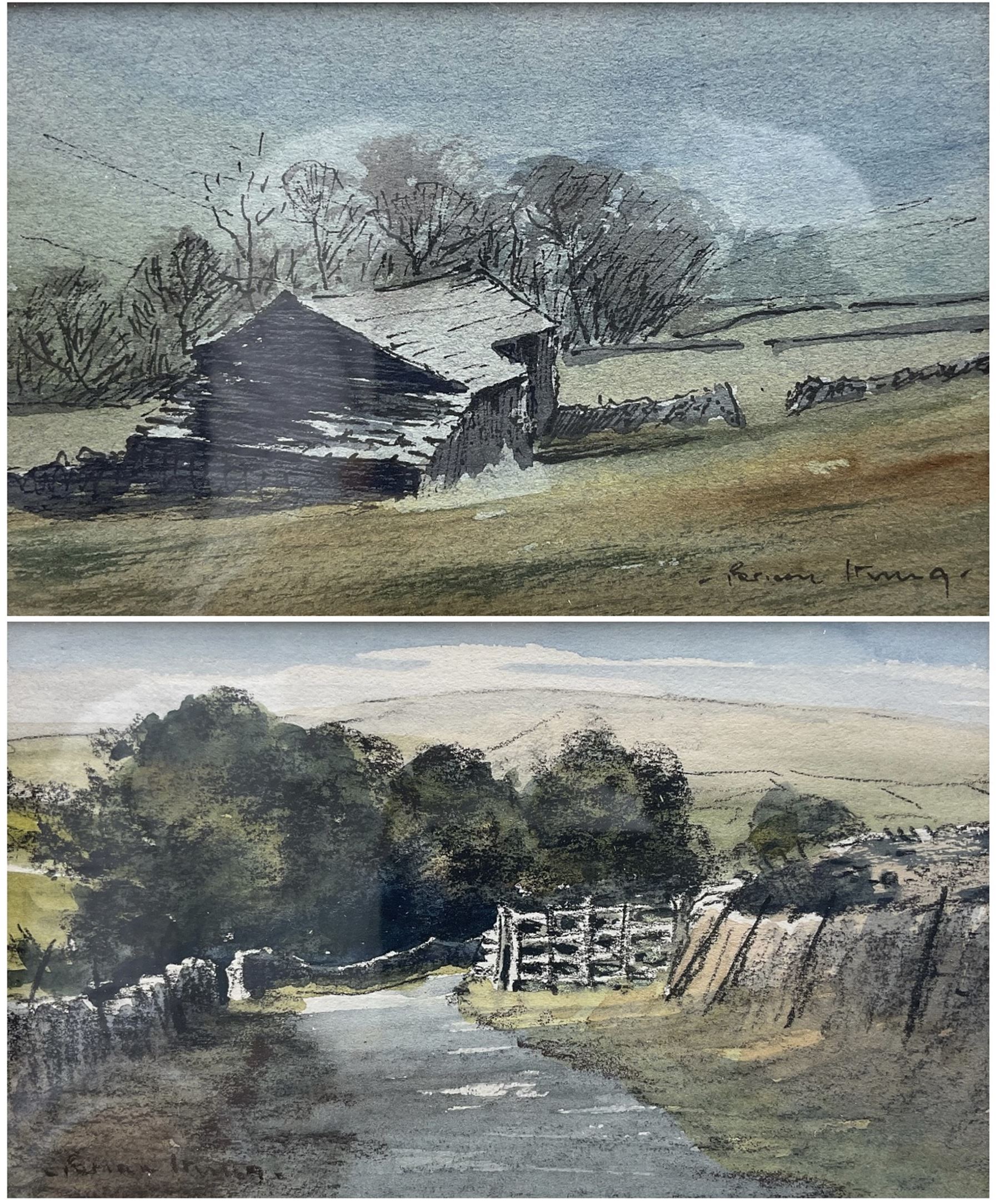 Brian Irving (British 1931-2013): Dales Farmstead & Farm Gateway, pair pen ink and watercolours signed 7cm x 11cm (2)