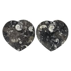 Pair of dishes in the form of hearts with a raised Goniatite to the centre and Orthoceras and Goniatite inclusions, age: Devonian period, location: Morocco, D16cm