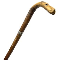 Walking stick with carved wooden handle modelled as the head of a hound with inset glass eyes, upon a silver collar hallmarked Birmingham 1936, L 90cms
