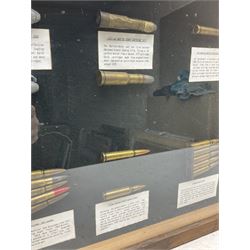 SECTION 1 FIRE-ARMS CERTIFICATE REQUIRED - Two cased specimen displays of annotated ammunition/cartridges - one entitled 'First World War Collection' containing twenty items including 7.63 Mauser, 7.65 Luger, .303, 7.62 x 54R Russian long, 455 Mk.II lead, 455 Auto etc; the other with sixteen items/clips including Musket cartridge, .577 Snider-Enfield, .577/45 Martini Henry, .303 Enfield Magazine, 7.62 Charger Clip, Specialised .303 rounds etc; largest case 41 x 76cm (2)