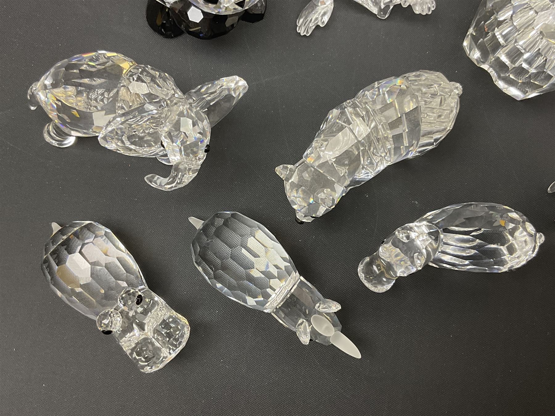 Twenty nine Swarovski Crystal animals, to include koala and baby, in frosted tree branch, elephants, polar bears, squirrel, monkeys, panda, unicorn and snails, etc 