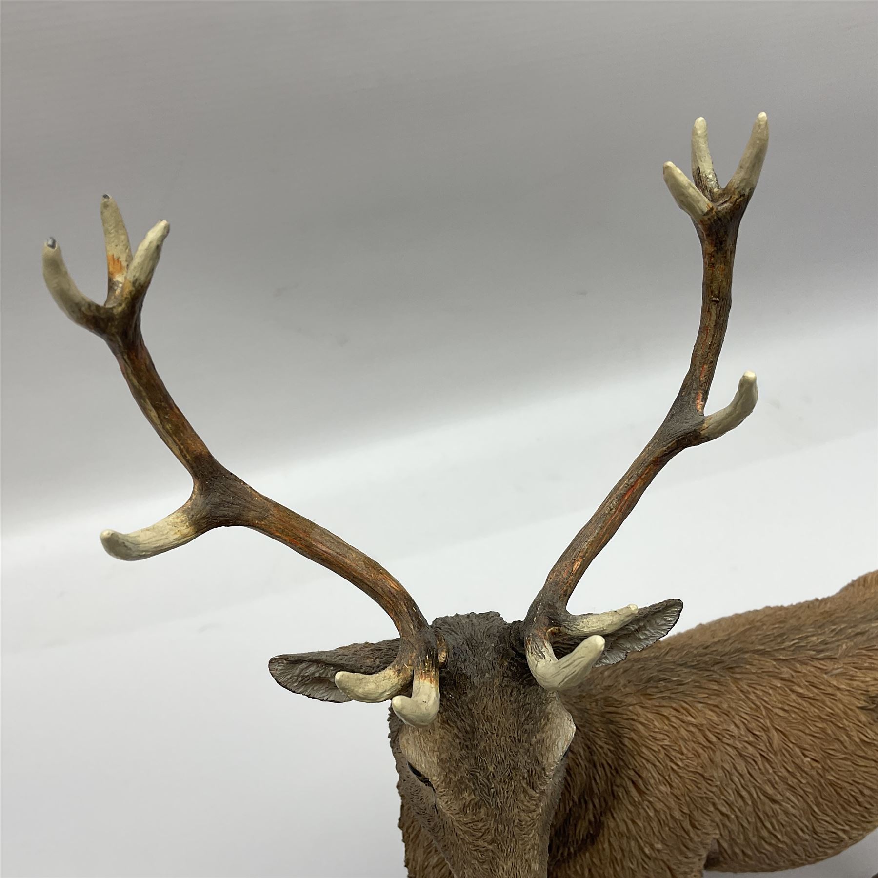 Country Artists Red Deer Stag and a Border Fine Arts Friesian Cow and Calf figure, Stag H30cm