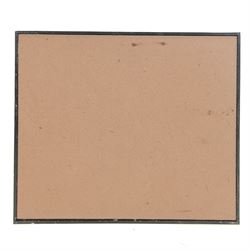 Entomology: Single glazed display Moths of the British Isles, circa 20th century, single glazed display containing twenty three specimens, including Privet Hawk, Eyed Hawk, Oleander Hawk, some with attached data labels, all pinned upon foam backing and named labels, enclosed within a glazed ebonised display case, H33cm, L38cm