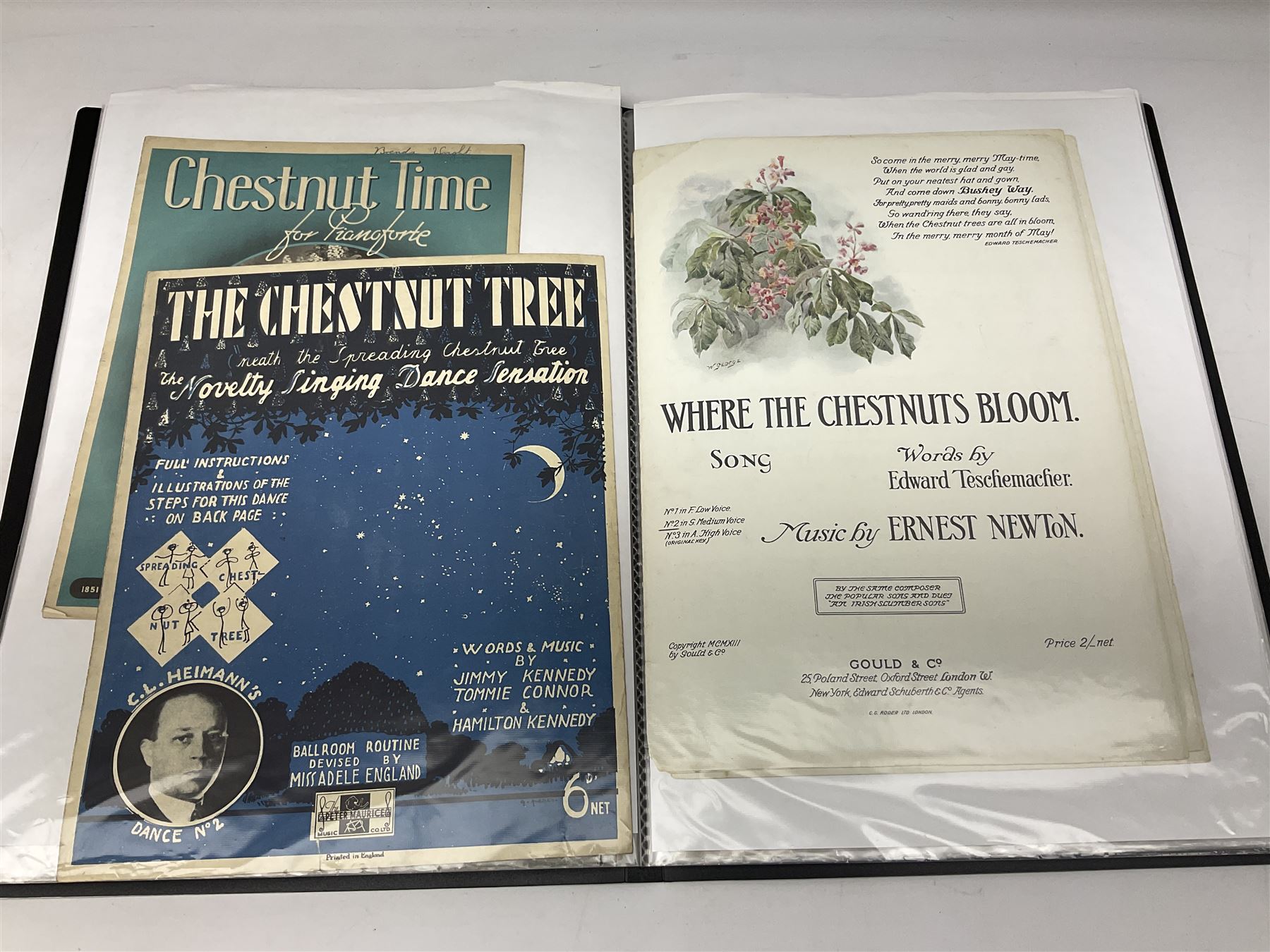 Albums of Victorian and later sheet music covers relating to flowers to include The Rose Queen, Waltz of the Wild Flowers, Those blooming roses, Songs of the Season and many others
