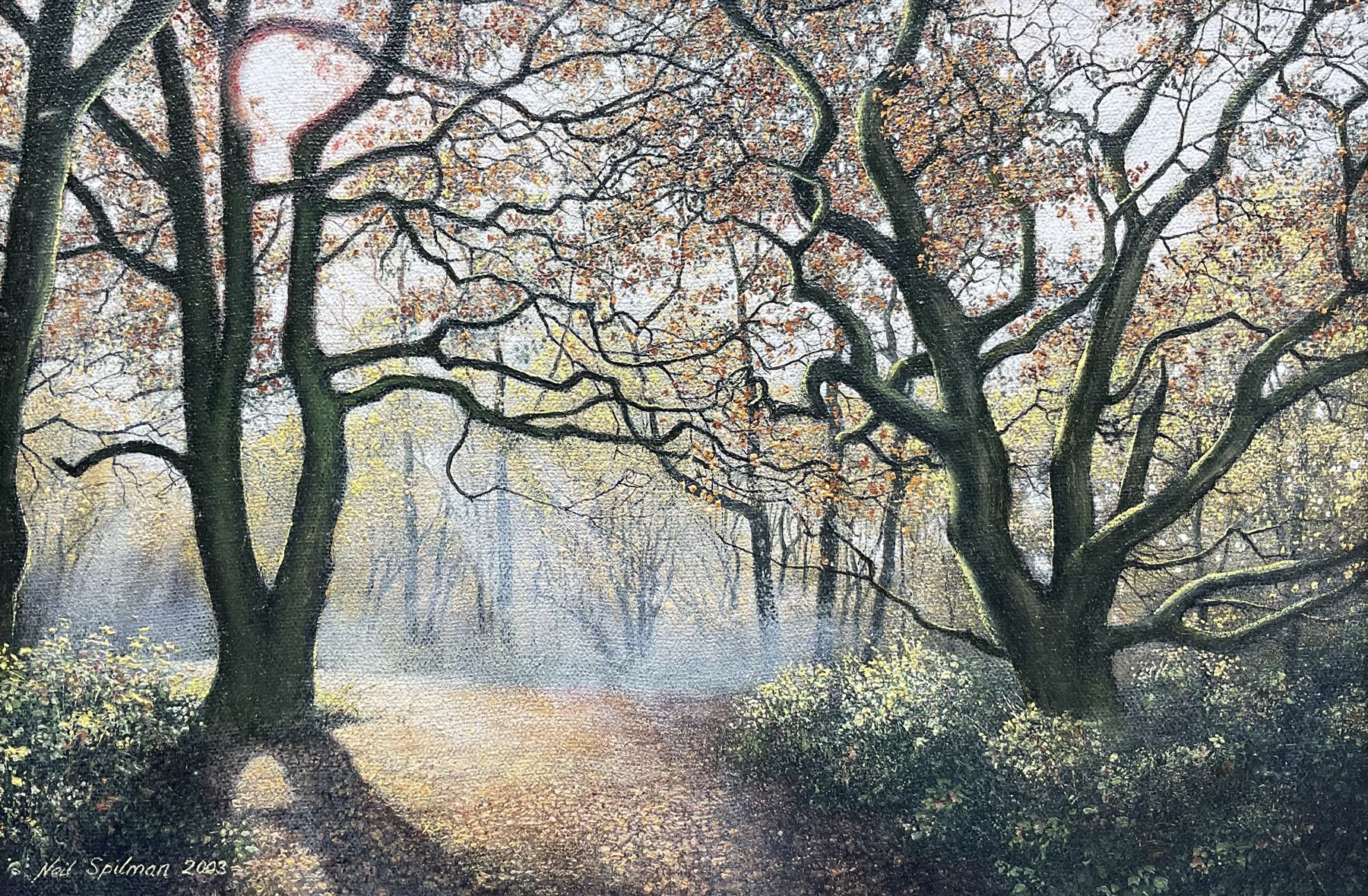 Neil Spilman (British 1951-): A Woodland Path, oil on canvas signed and dated 2003, 20cm x 30cm