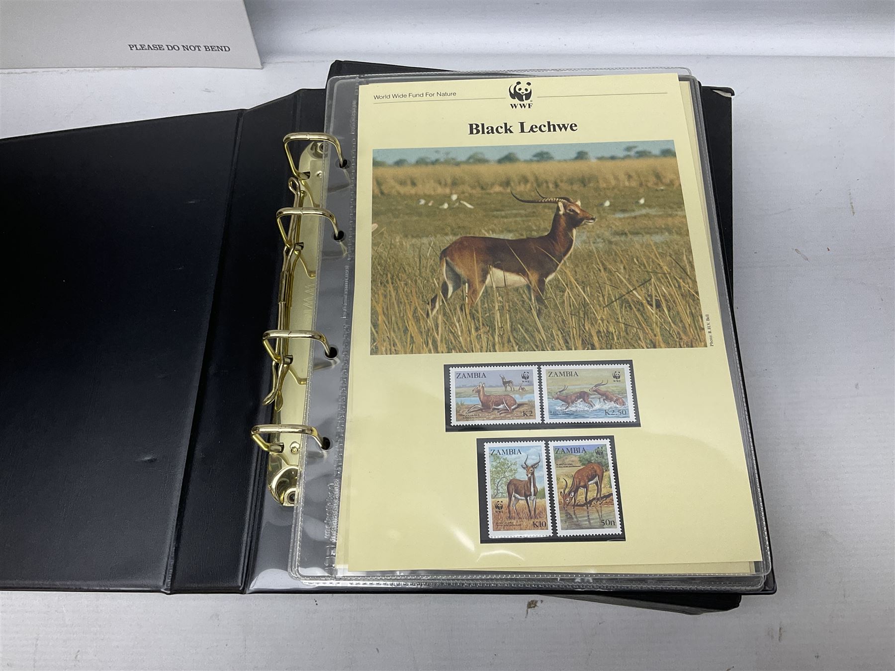 Stamps including first day covers relating to Diana Princess of Wales, small number of coin covers, Mercury 'Silk' covers, other first day covers many with printed address and special postmarks, Australia, Barbados, British Honduras, Germany, Jamaica and other World stamps, housed in albums, folders and loose, in one box