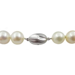  Single strand South Sea pearl necklace, with silver clasp stamped 925  
