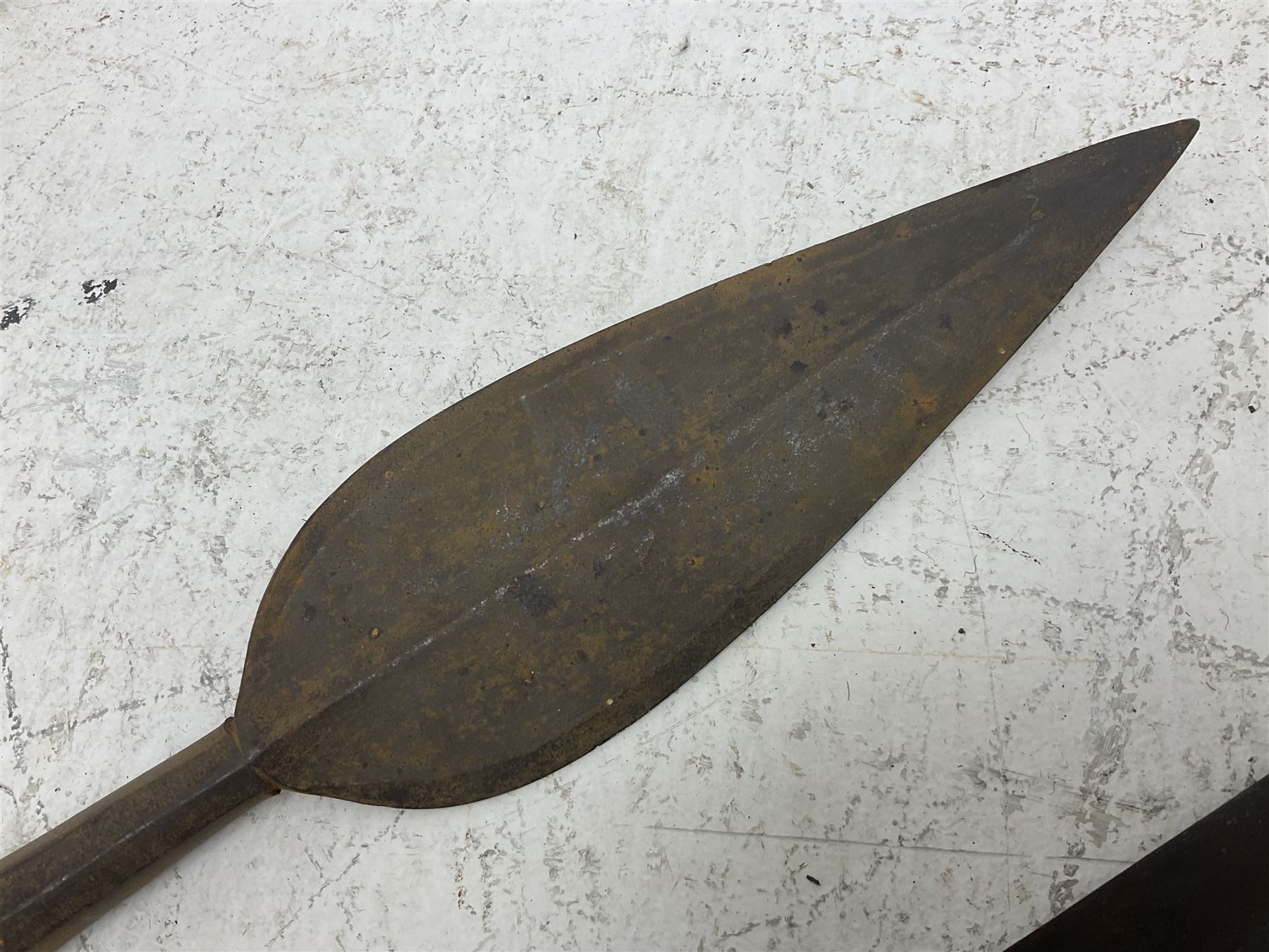 Native long-shafted spear, the large iron head with central medial ridge and decorative neck, on plain circular haft L260cm; and another similar Native long-shafted spear with cane haft L249cm (2)