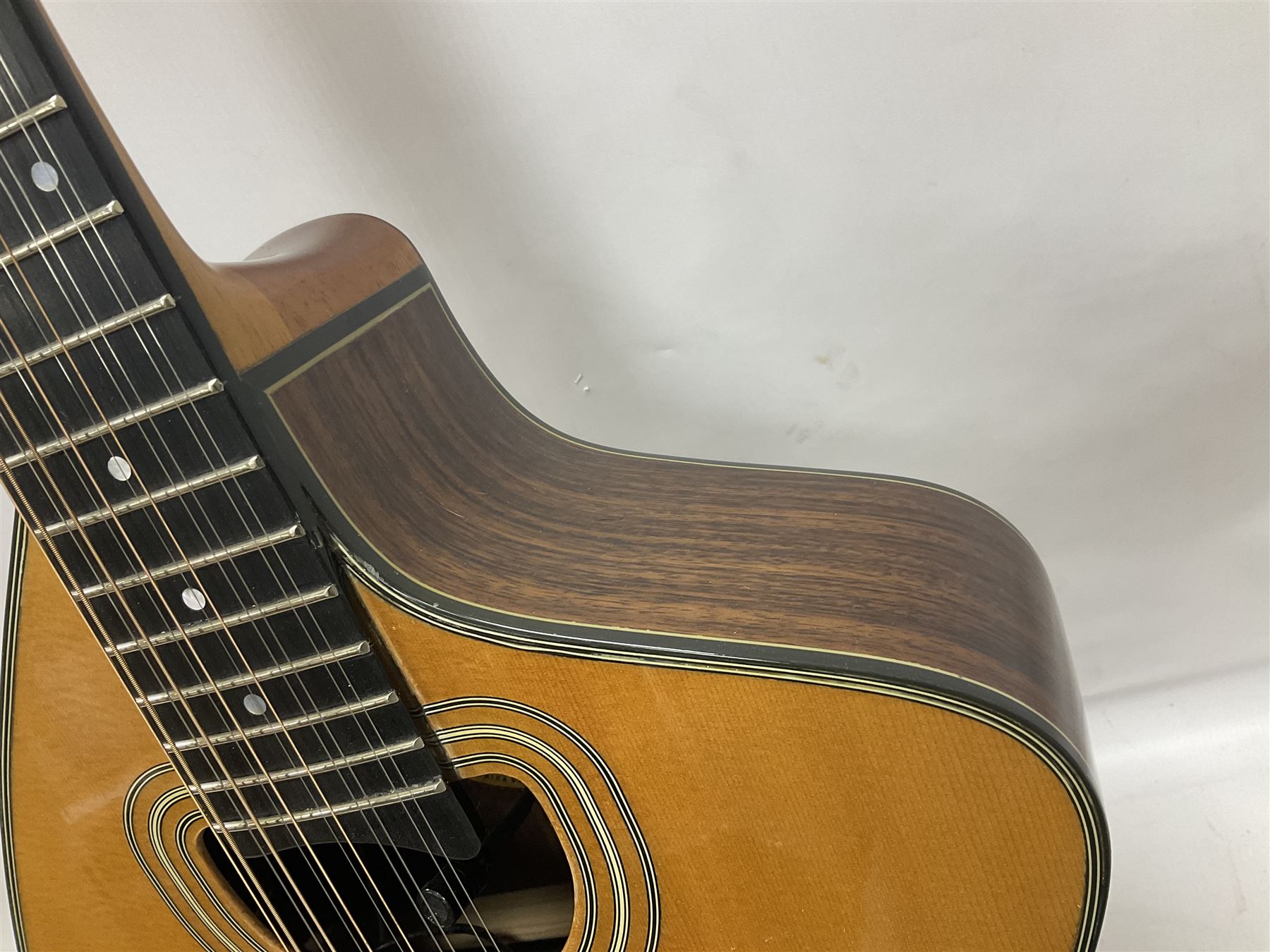 Brazilian Giannini Craviola twelve string acoustic guitar, with Fishman Premium Blend onboard pickup, in fitted hard case 