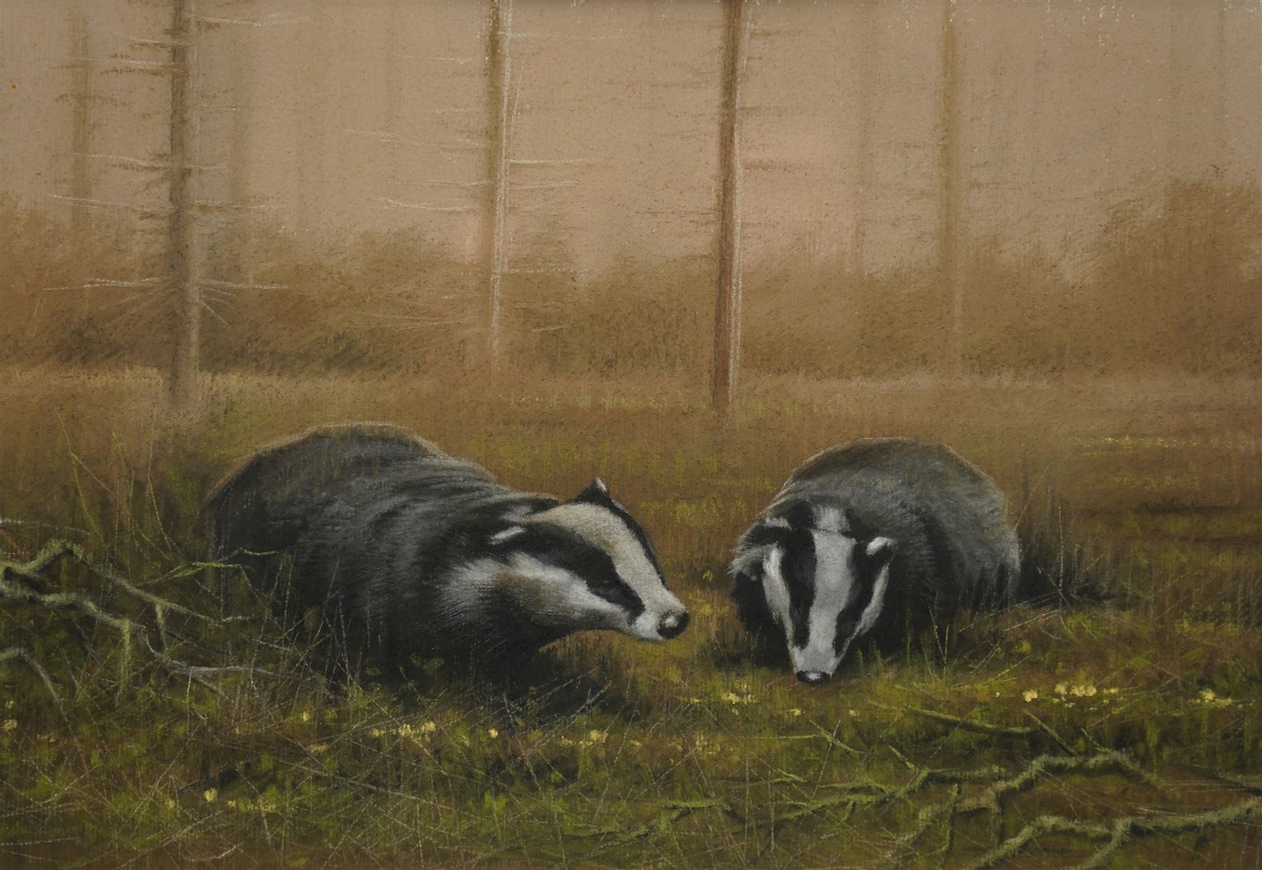 John Naylor (British 1960-): Two Badgers, pastel signed, authenticity label verso 20cm x 29cm