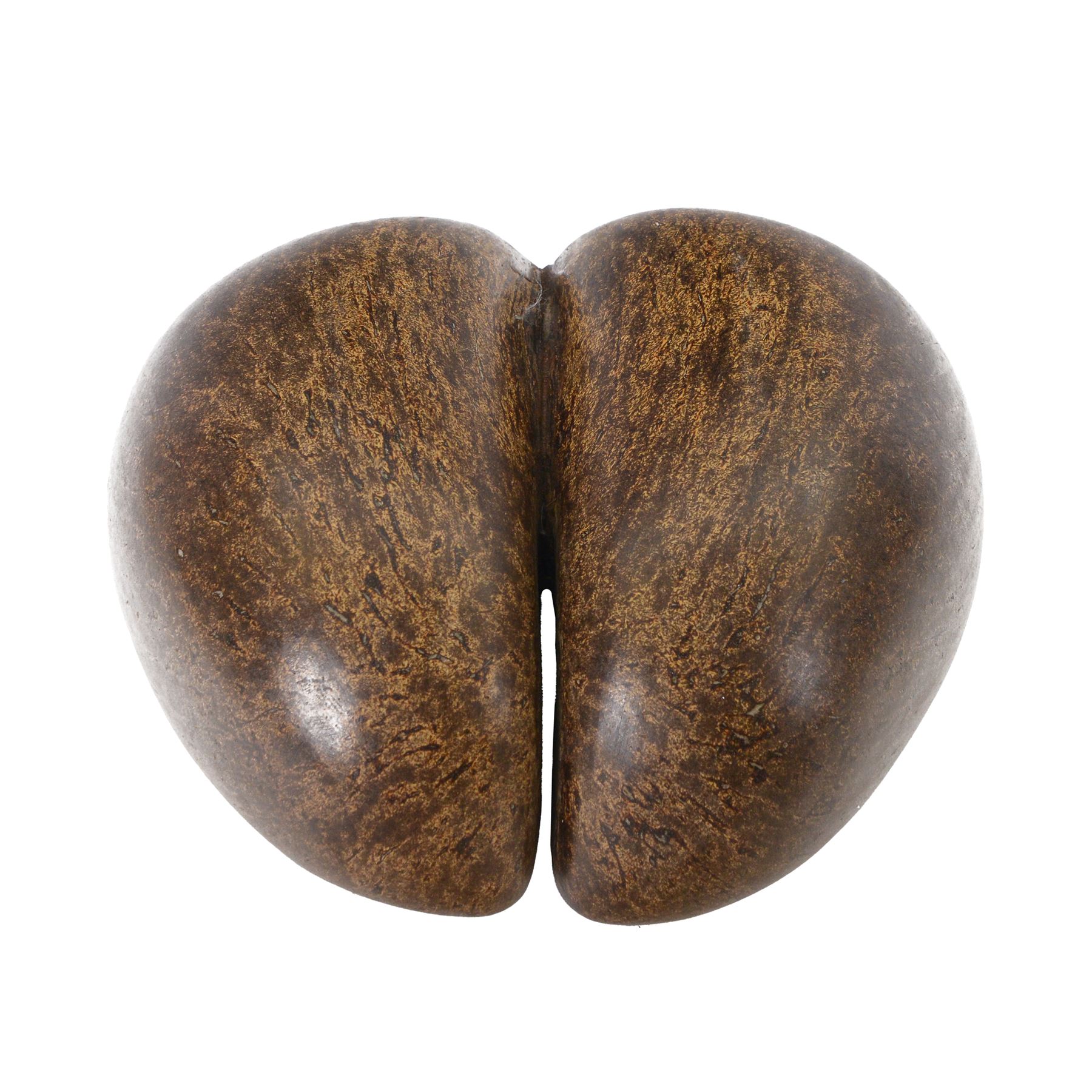 Coco De Mer (Lodoicea Maldivica) with license label, 1960/1970, Lodoicea, commonly known as the sea coconut, coco de mer, or double coconut, a seed of the palm family, from the islands of Praslin and Curieuse in the Seychelles