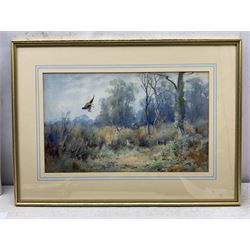 Henry John Sylvester Stannard RBA (British 1870-1951): Flushing Pheasants, watercolour signed 31cm x 52cm 
