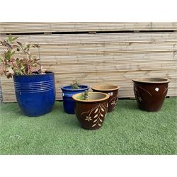Set of five different size glazed planters  - THIS LOT IS TO BE COLLECTED BY APPOINTMENT FROM DUGGLEBY STORAGE, GREAT HILL, EASTFIELD, SCARBOROUGH, YO11 3TX