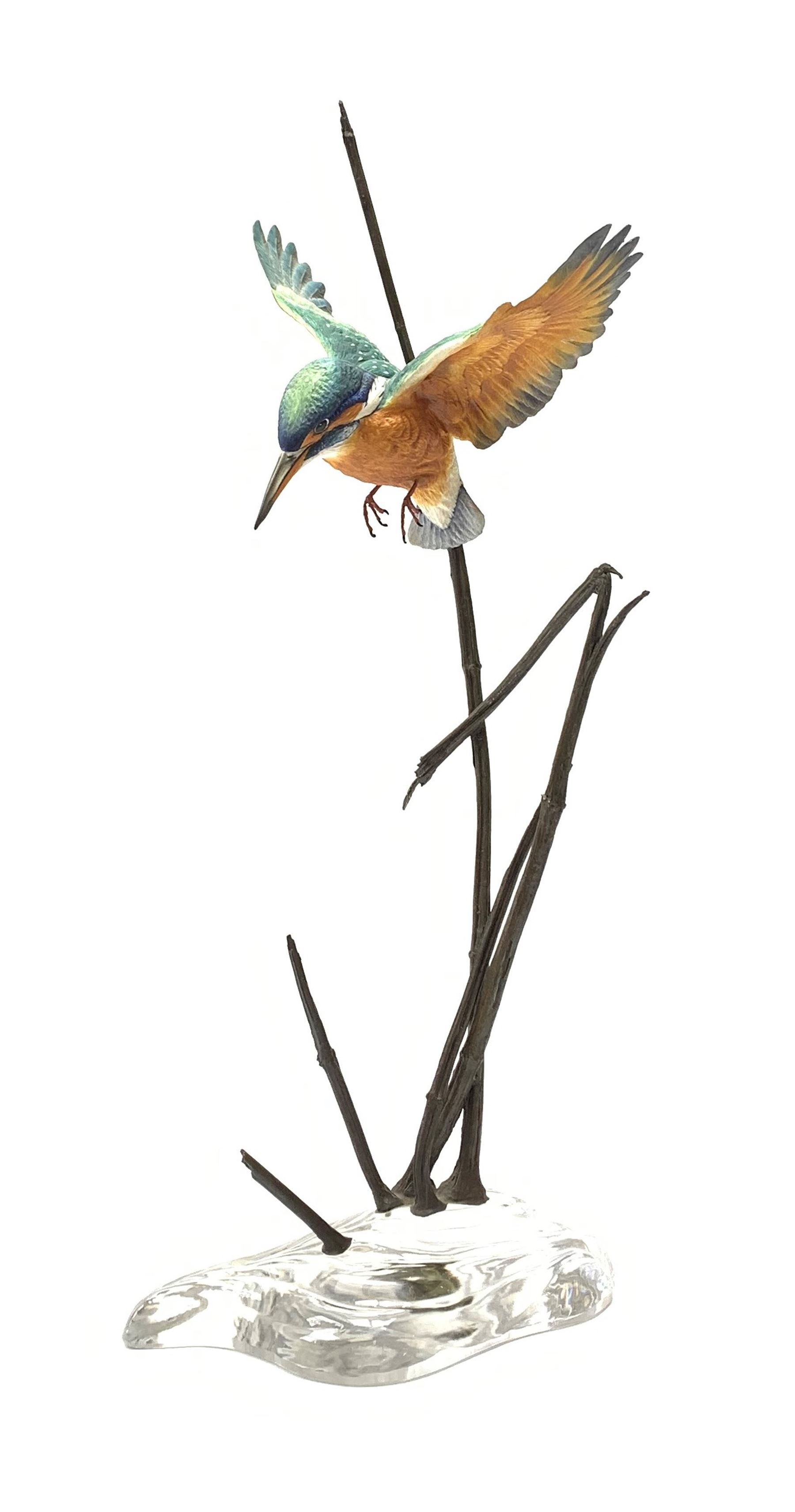David Fryer Studios for Royal Worcester, a limited edition bronze and porcelain model of a kingfisher in flight, supported by bronze rushes, upon a clear base, signed D Fryer, and numbered 206/750, H48cm. 