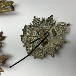Four Border Regiment cap badges including eleventh battalion (4)