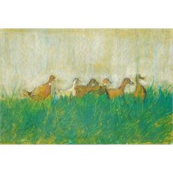 Susan Brown (Northern British 1956-): 'Quack March', pastel signed, titled verso 25cm x 37cm 