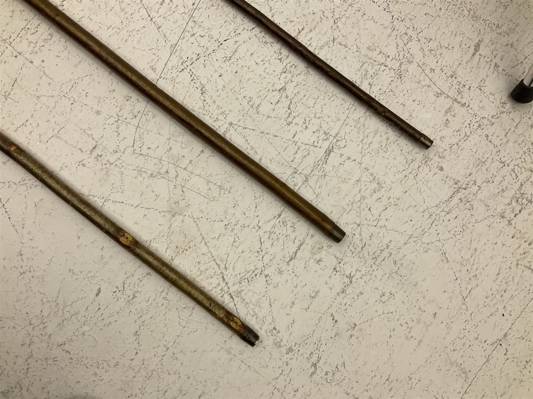 Two smooth polished ram horn handled Shepherd's crooks and a further similar example, together with various shooting sticks, walking sticks and canes, housed in a volcanic lava glaze West German style vase