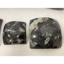 Set of six square dishes in two sizes, each with orthoceras and goniatite inclusions, age: Devonian period, location: Morocco, large dish D16cm