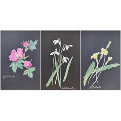 Delia Portsmouth (British 1916-): Flower Studies, set three oils on board signed and dated, 19cm x 14cm (3)