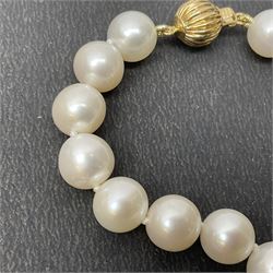 Fresh water pearl bracelet, with 14ct gold clasp, stamps 585