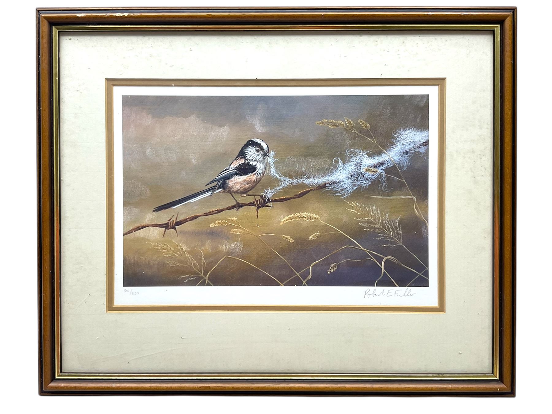 Robert E Fuller (British 1972-): Long Tailed Tit, limited edition print signed in pencil, 19cm x 31cm