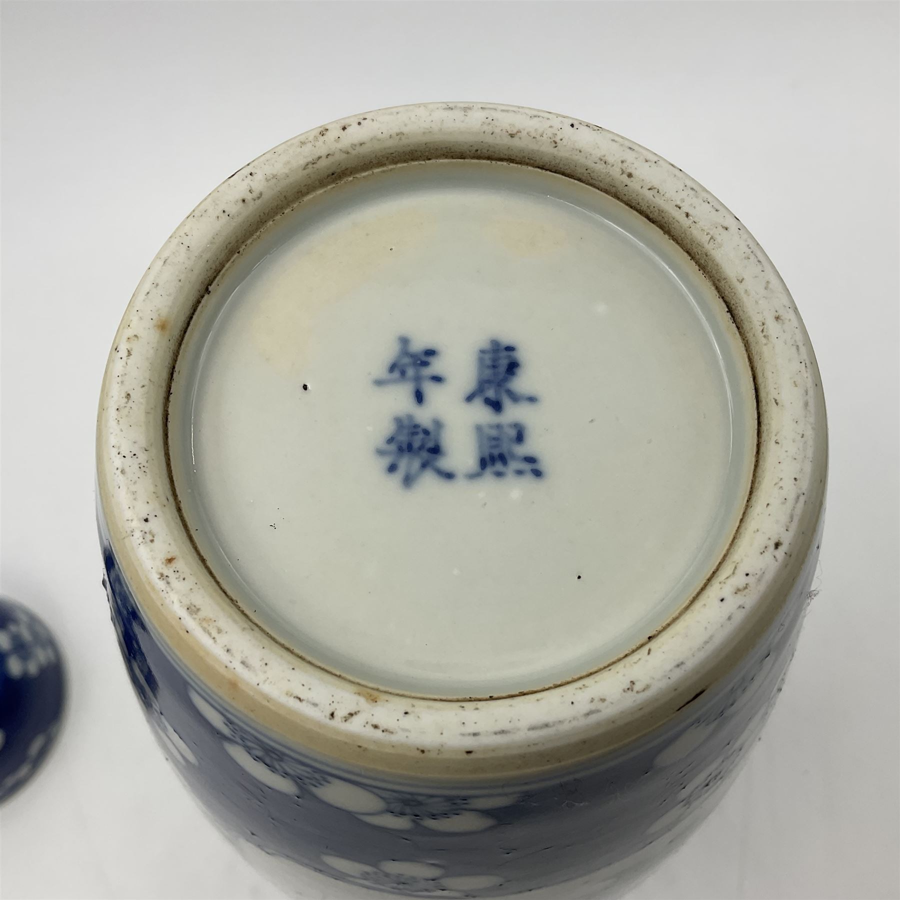 Late 19th century Chinese blue and white jar and cover, of slender ovoid form with domed cover, decorated with two reserves containing figures, against a prunus blossom ground, with Kangxi type mark beneath, H27.5cm