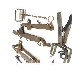 Ten gin and mole traps including Improved Dorset trap, H. Lane, S. Tinsley & Co., A. Fenn Mark 4, etc. Auctioneer's Note: These traps are sold as artefacts for ornamental purposes only as the use of some of them is illegal.