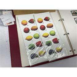 Great British stamps including Queen Elizabeth II mostly commemorative mint decimal issues with 1st class, miniature sheets etc, pre-decimal issues and other QEII stamps with mint and used, housed in four ring binder folders and loose