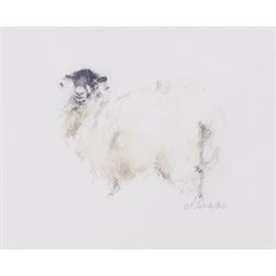 HC Schofield (British 20th Century): Sheep and Ram, two watercolours signed 10cm x 12cm (2)