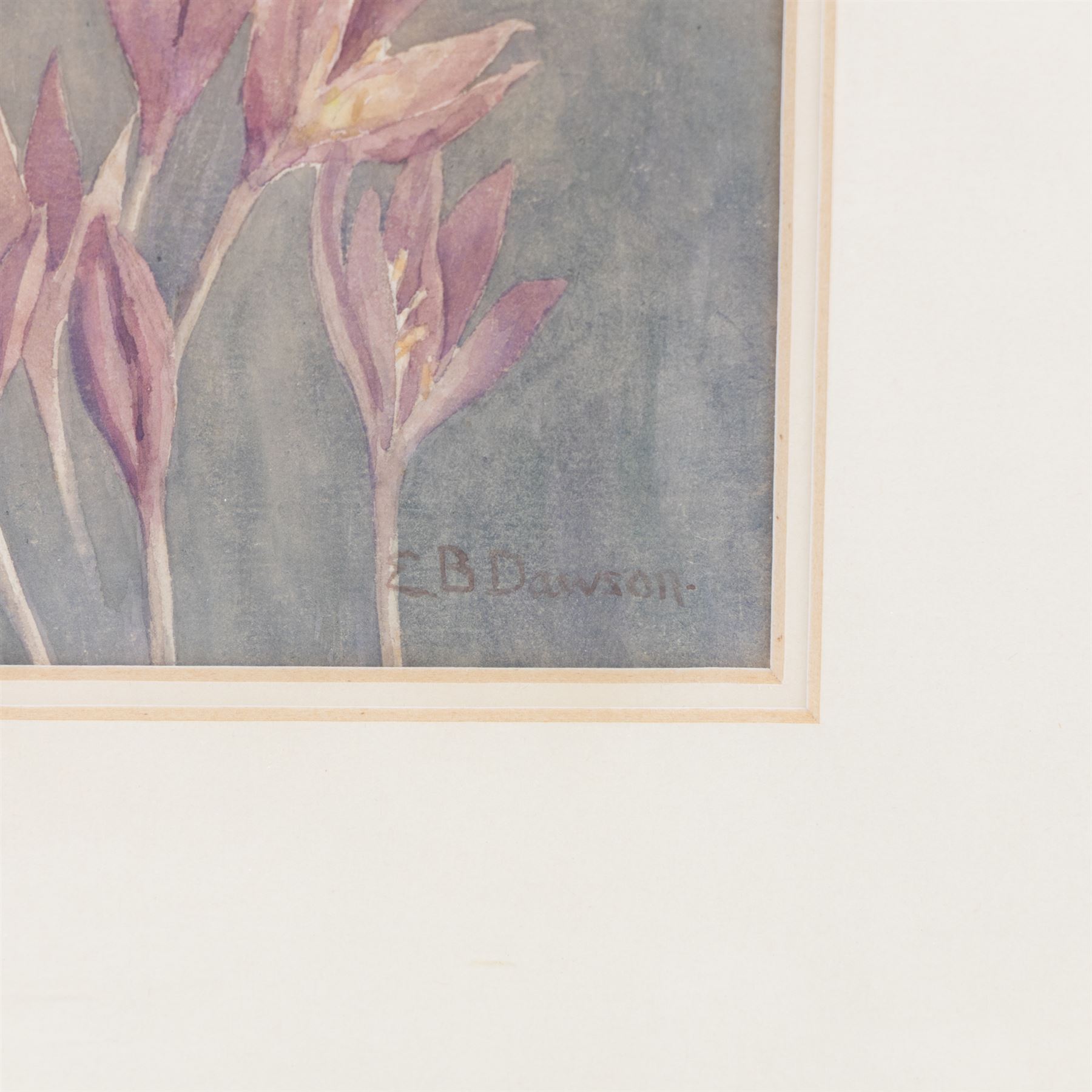 Edith Brearey Dawson (née Robinson) (British 1862-1928): Purple Flowers, watercolour signed 20cm x 15cm
Notes: Edith was the daughter of a Quaker Schoolmaster living in Scarborough as early as 1881, she studied under Albert Strange at the Scarborough School of Art, exhibiting at the Royal Academy and the RBA between 1889 and 1893. She married fellow artist Nelson Ethelred Dawson in 1893 then moving to London she mostly abandoned painting in favour of metal and enamel work.