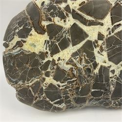 Septarian slice, polished, with a calcite centre and argonite/siderite lines within limestone rock, L26cm, W19cm