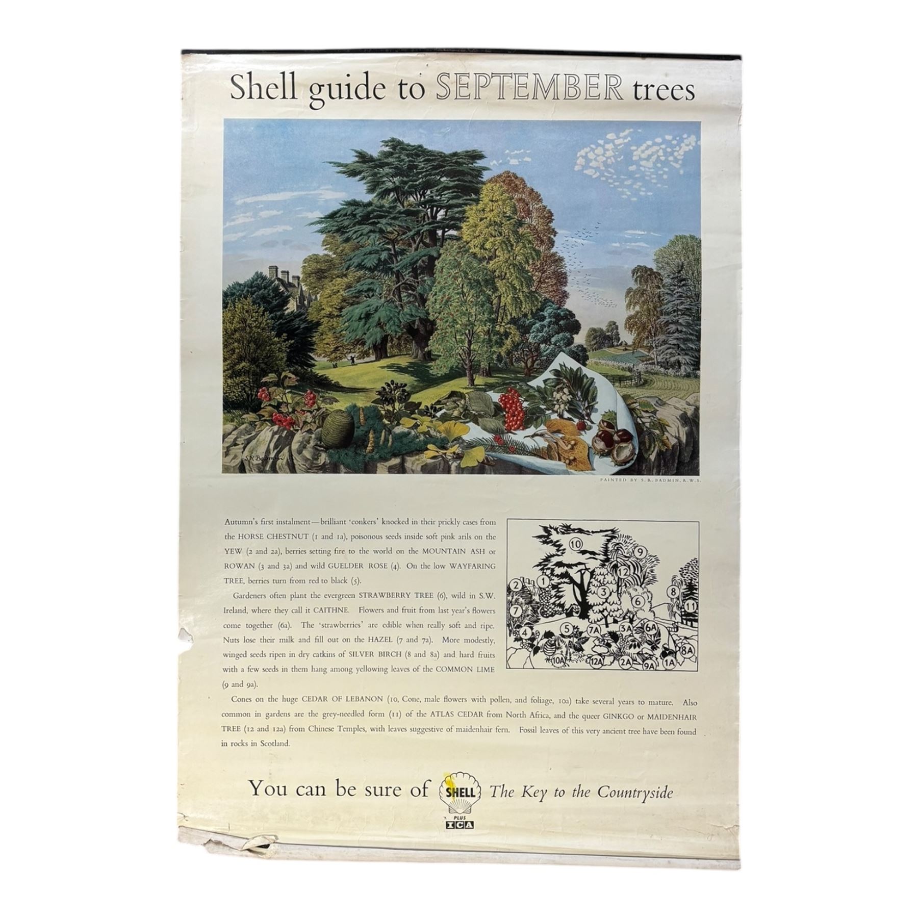 Collection thirty seven vintage county guide posters produced by Shell, H76cm, W51cm