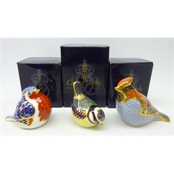  Three Royal Crown Derby paperweights, 'bluetit', 'waxwing' and 'robin', boxed, with gold stoppers  